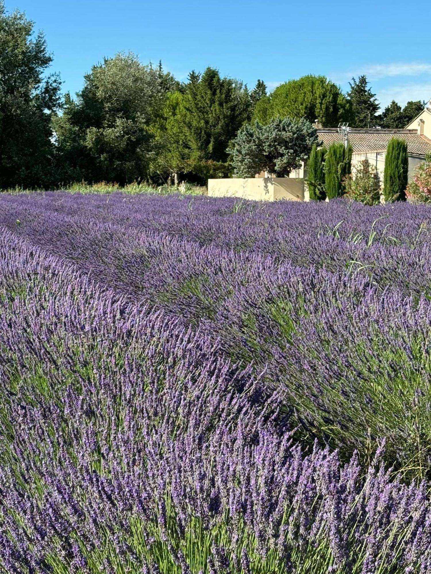 Appartement Neuf Et Au Calme Proche Avignon Althen-des-Paluds Luaran gambar