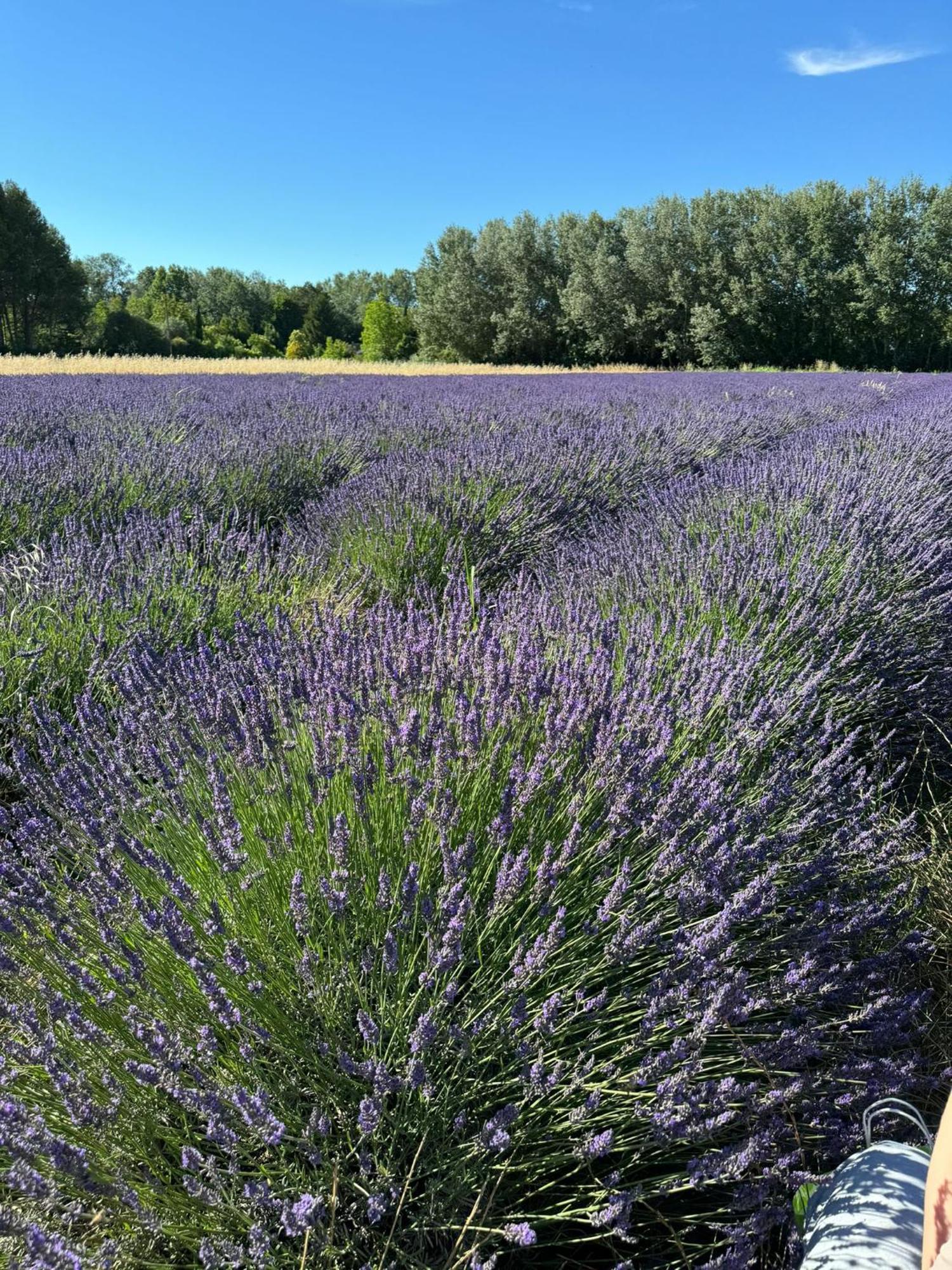 Appartement Neuf Et Au Calme Proche Avignon Althen-des-Paluds Luaran gambar