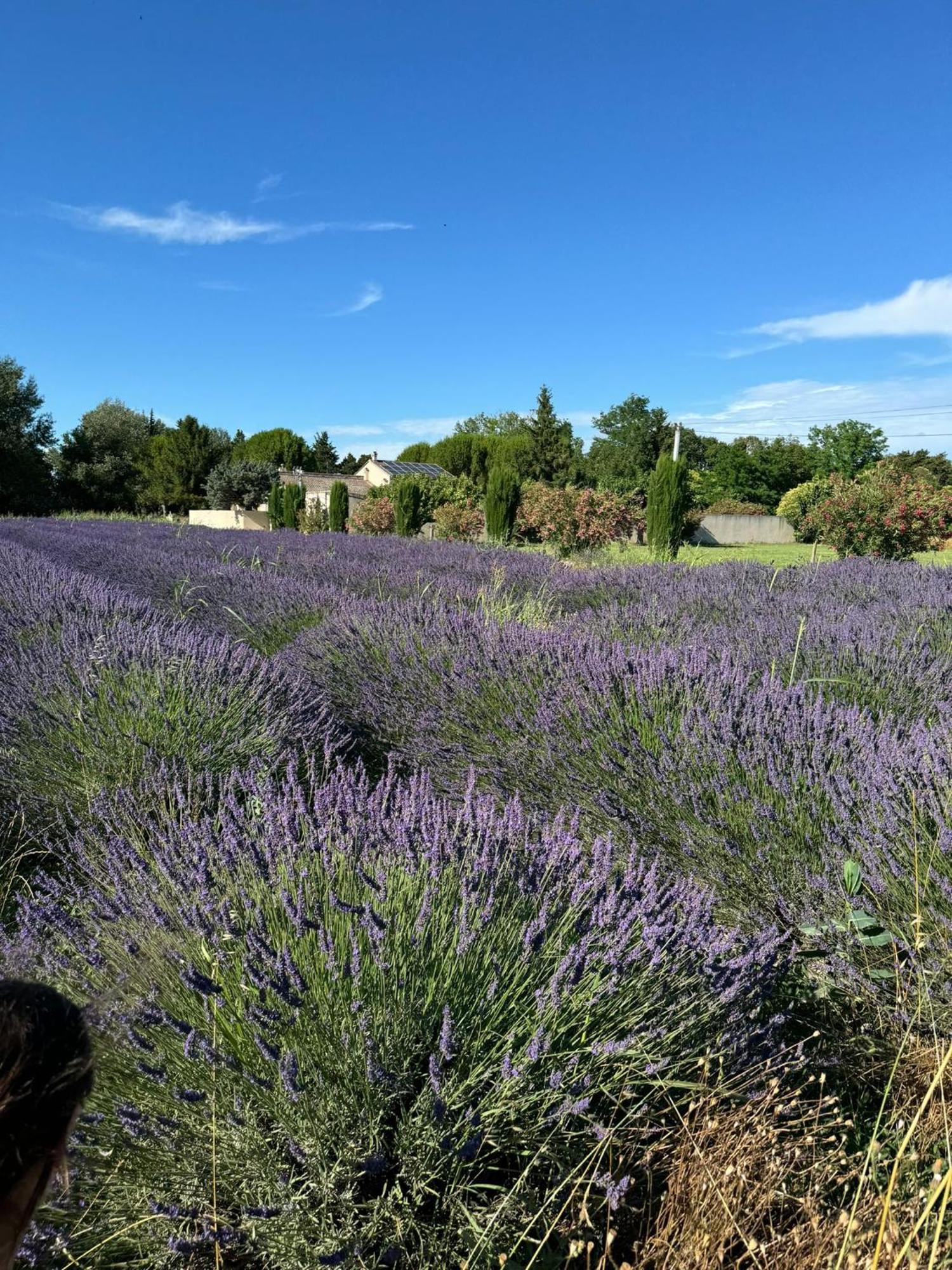 Appartement Neuf Et Au Calme Proche Avignon Althen-des-Paluds Luaran gambar